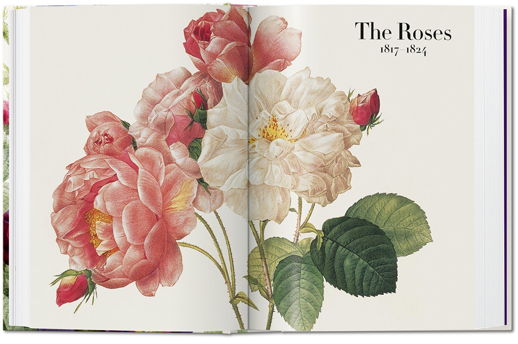 THE BOOK OF FLOWERS 4