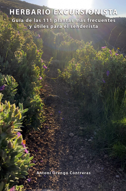 HERBARIO EXCURSIONISTA. GUÍA DE LAS 111 PLANTAS MÁS FRECUENTES Y ÚTILES PARA EL SENDERISTA 1
