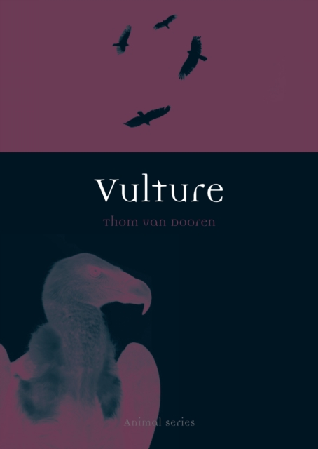 VULTURE