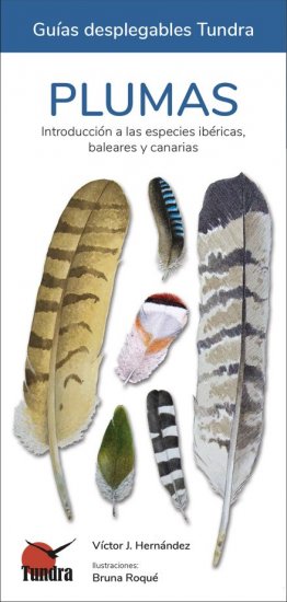 PLUMAS. INTRODUCCIÓN A LAS ESPECIES IBÉRICAS, BALEARES Y CANARIAS. GUÍAS DESPLEGABLES TUNDRA   1