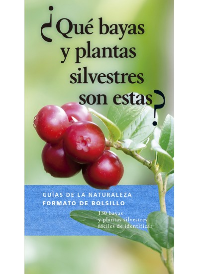¿QUÉ BAYAS Y PLANTAS SILVESTRES SON ESTAS? 1
