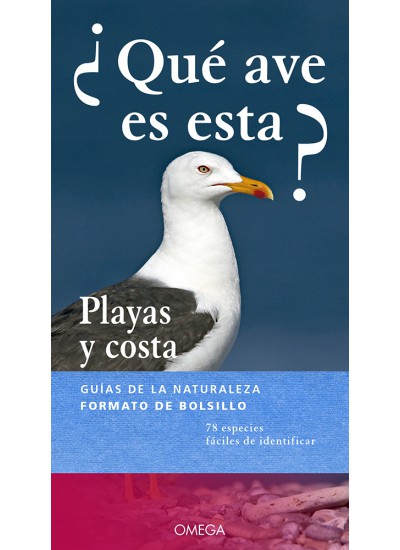 ¿QUÉ AVE ES ESTA? PLAYAS Y COSTAS 1