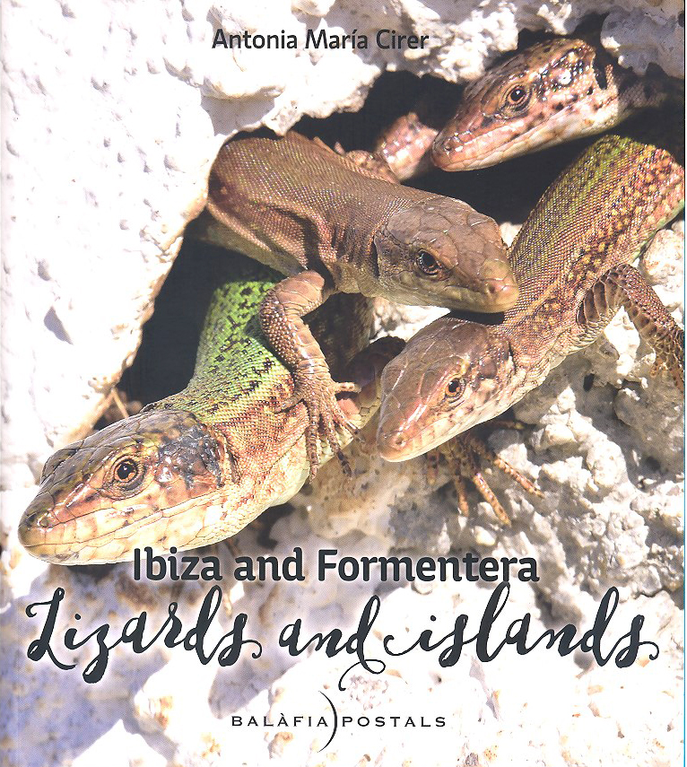 IBIZA AND FORMENTERA. LIZARDS AND ISLANDS