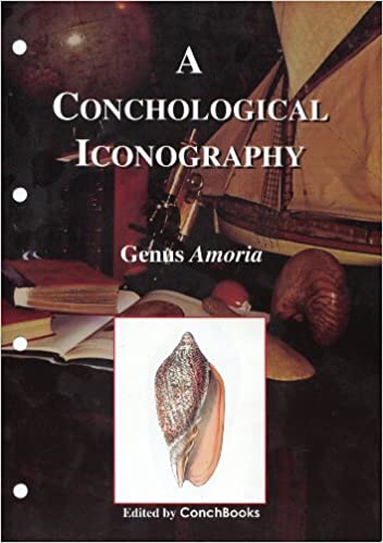 A CONCHOLOGICAL ICONOGRAPHY. GENUS AMORIA