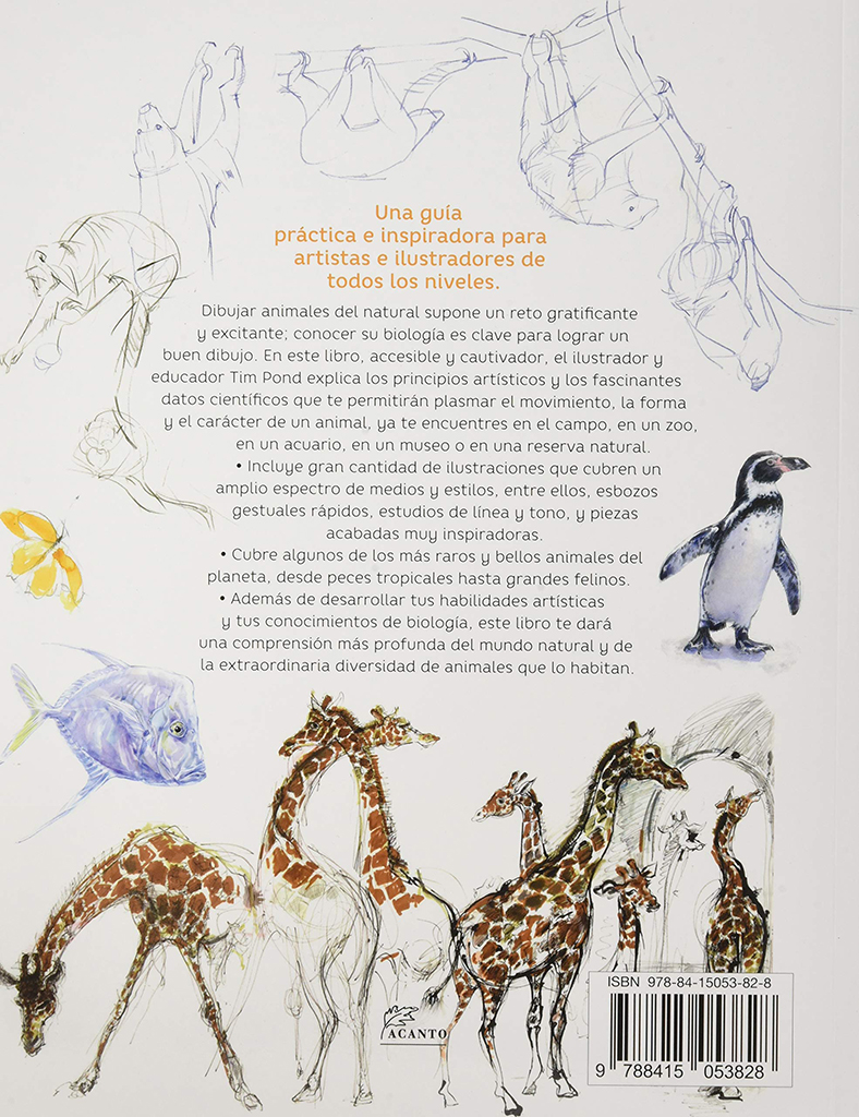 GUÍA DE CAMPO PARA DIBUJAR ANIMALES DEL NATURAL                                                                                                        5