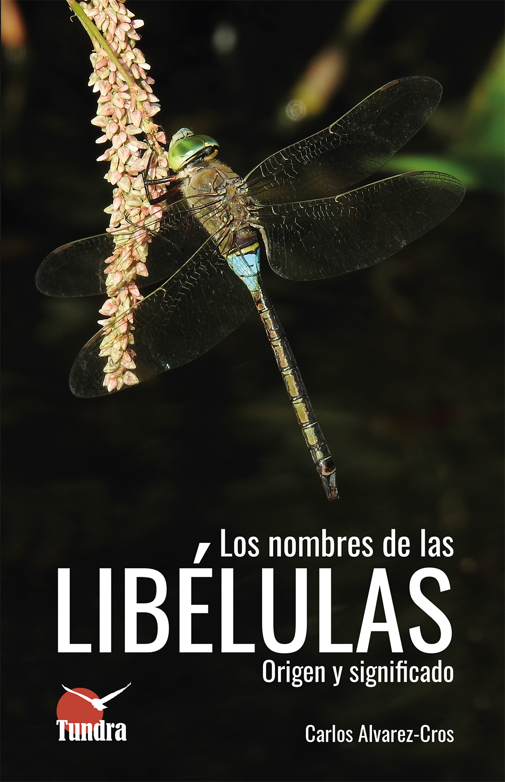 LOS NOMBRES DE LAS LIBÉLULAS. ORIGEN Y SIGNIFICADO 1