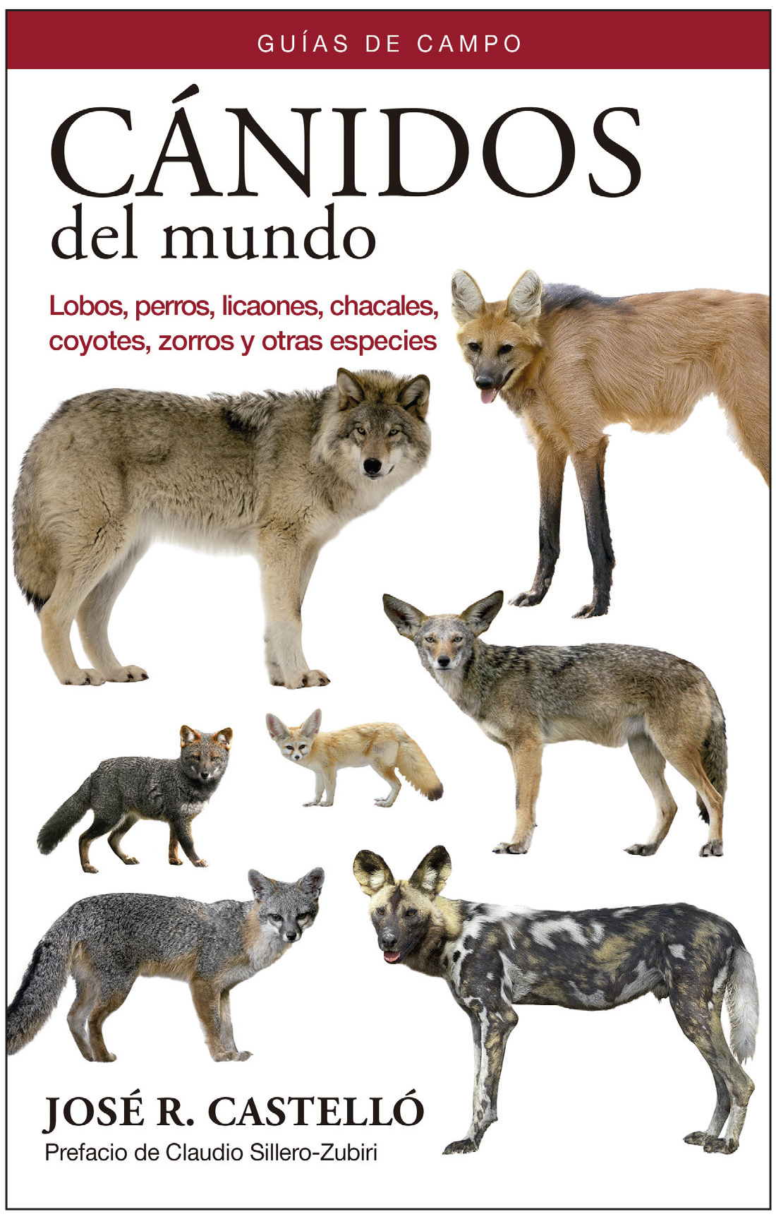 CÁNIDOS DEL MUNDO. LOBOS, PERROS, LICAONES, CHACALES, COYOTES, ZORROS Y OTRAS ESPECIES 1