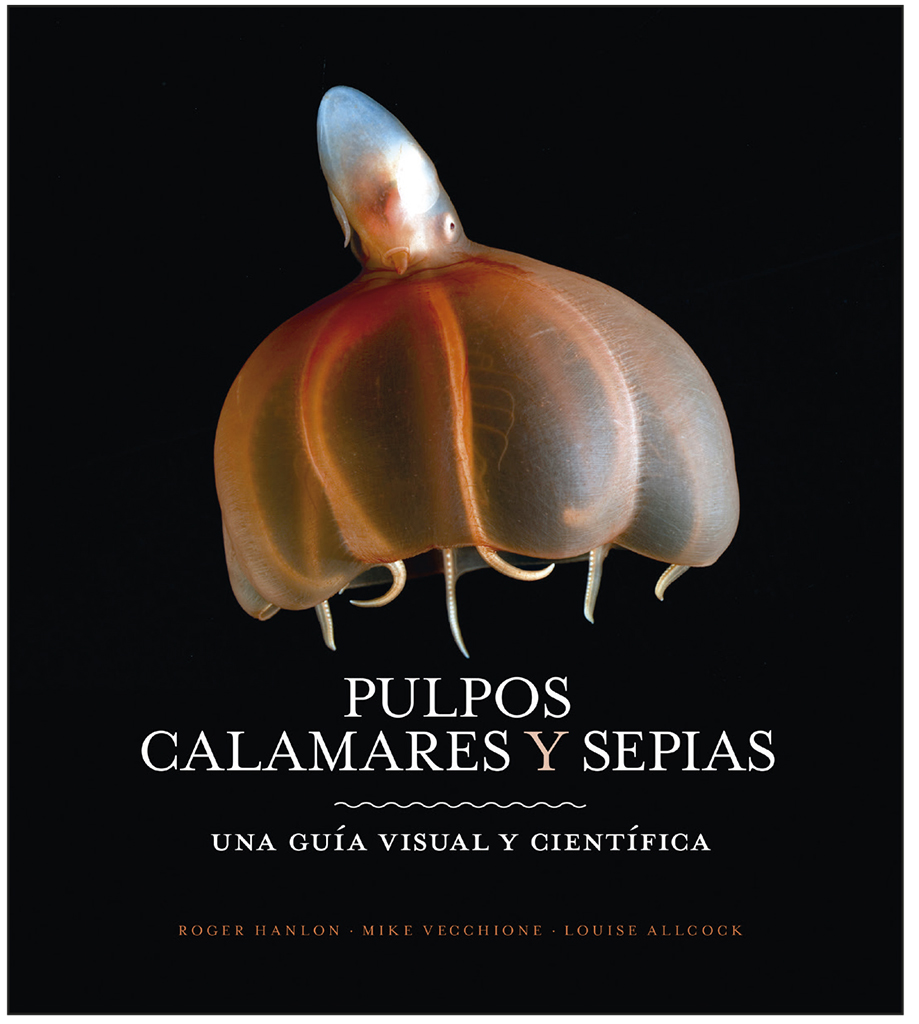 PULPOS, CALAMARES Y SEPIAS. UNA GUÍA VISUAL Y CIENTÍFICA
