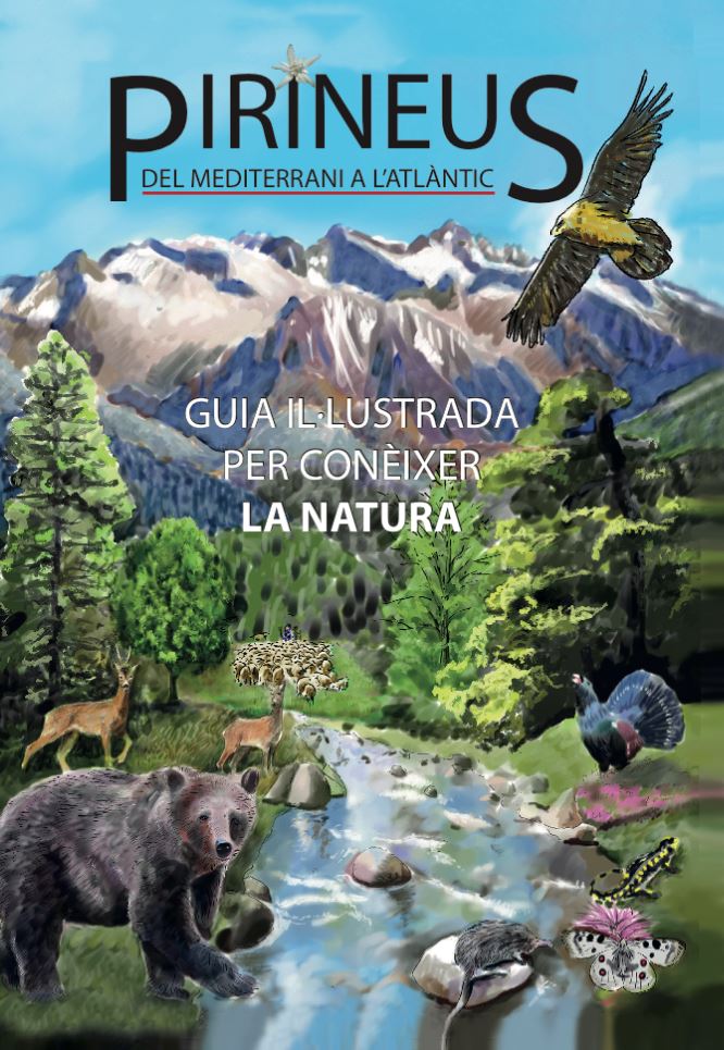 PIRINEUS DEL MEDITERRANI A L\'ATLÀNTIC. GUIA IL·LUSTRADA PER CONÈIXER LA NATURA                                                                        1