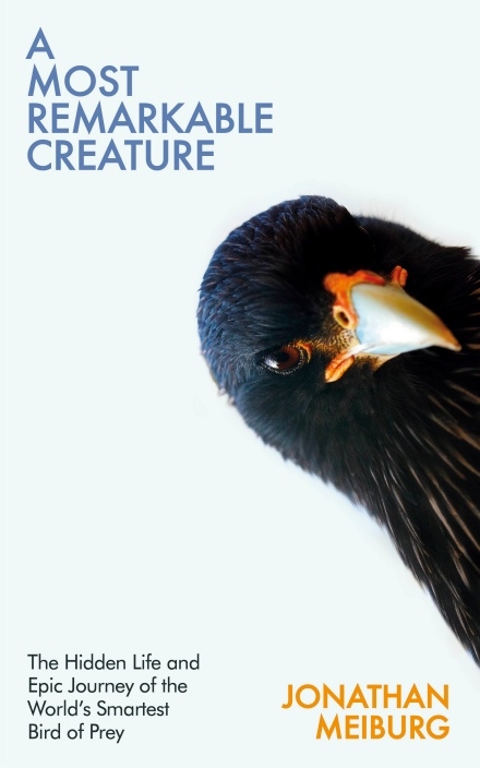 A MOST REMARKABLE CREATURE: THE HIDDEN LIFE AND EPIC JOURNEY OF THE WORL'D SMARTEST BIRD OF PREY