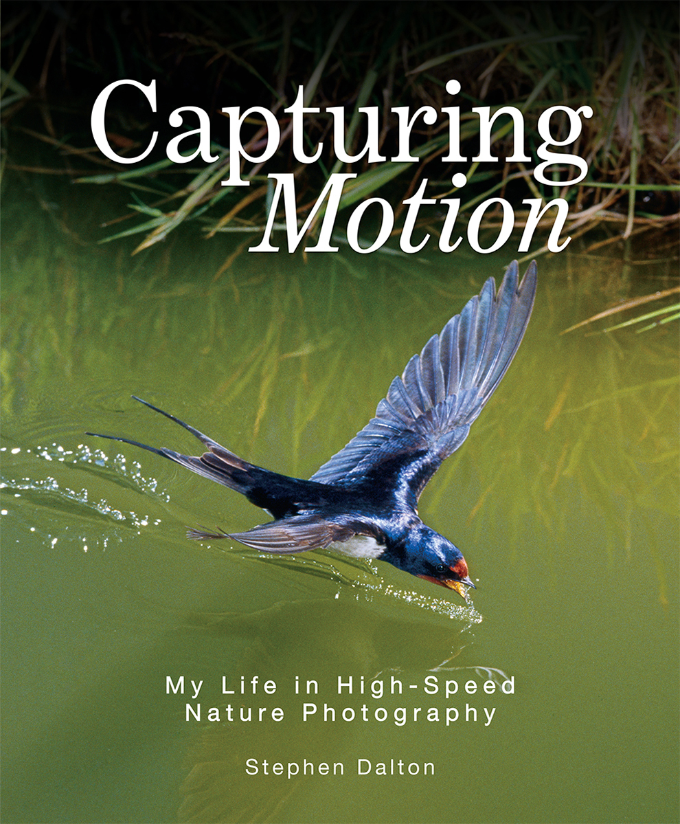 CAPTURING MOTION: MY LIFE IN HIGH SPEED NATURE PHOTOGRAPHY