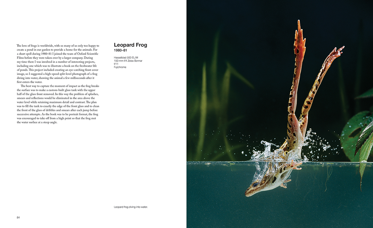 CAPTURING MOTION: MY LIFE IN HIGH SPEED NATURE PHOTOGRAPHY 2