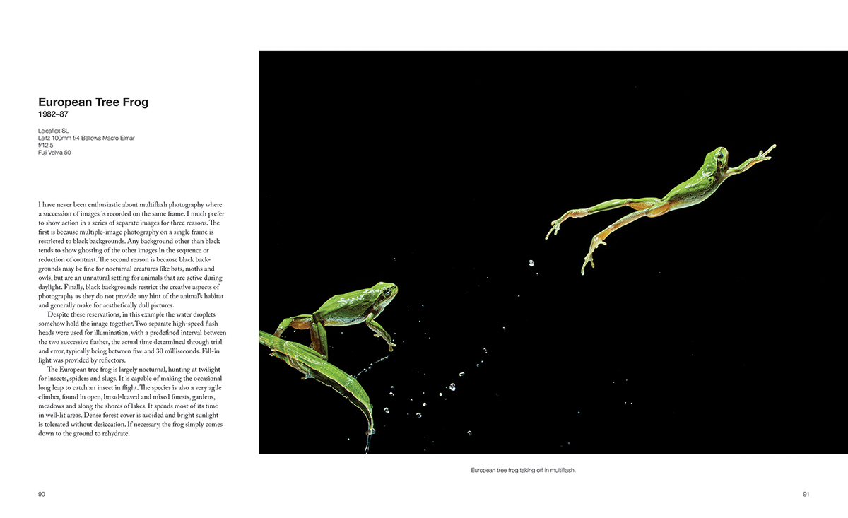 CAPTURING MOTION: MY LIFE IN HIGH SPEED NATURE PHOTOGRAPHY 3