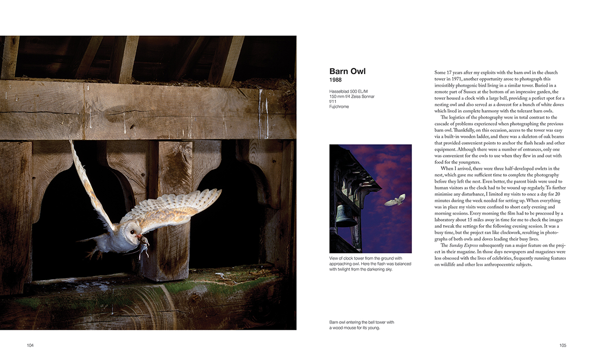 CAPTURING MOTION: MY LIFE IN HIGH SPEED NATURE PHOTOGRAPHY 4