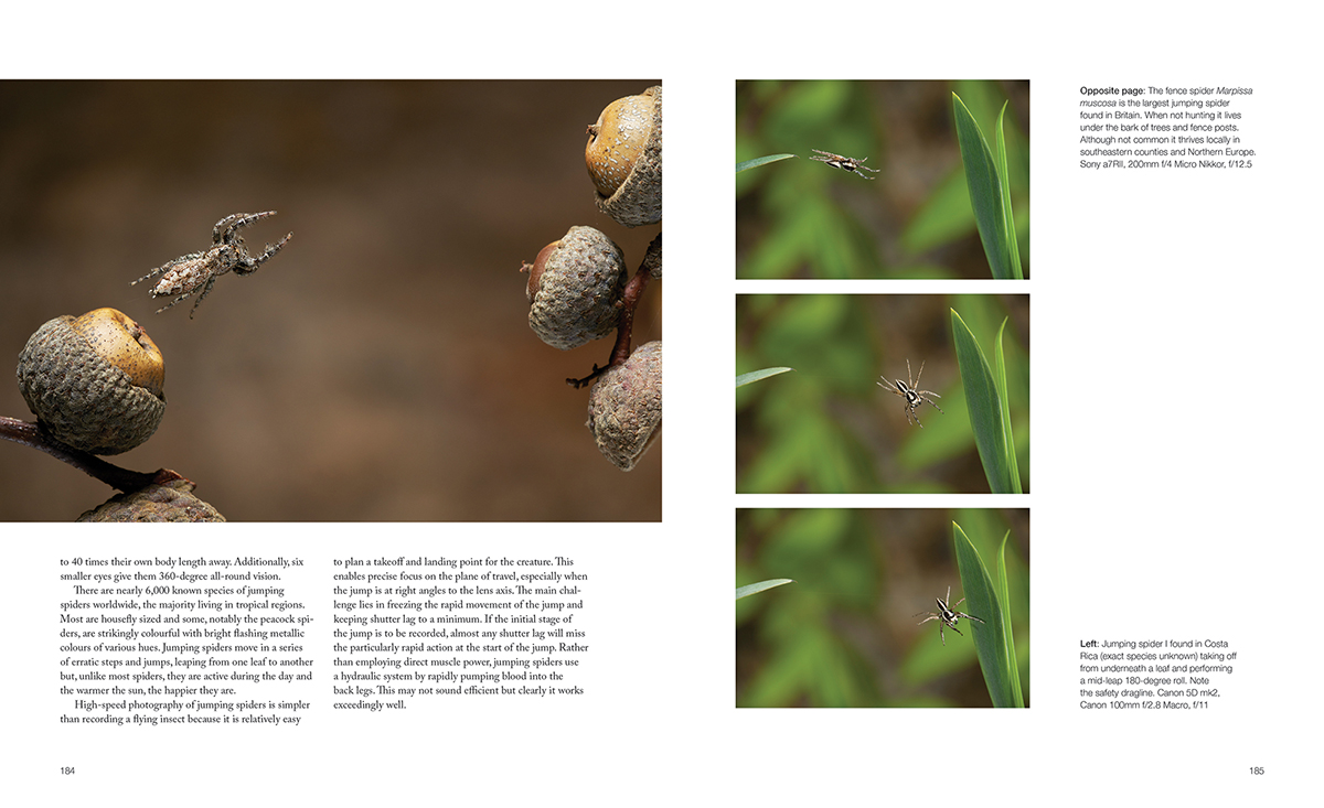 CAPTURING MOTION: MY LIFE IN HIGH SPEED NATURE PHOTOGRAPHY 7