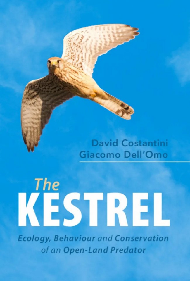 THE KESTREL. ECOLOGY, BEHAVIOUR AND CONSERVATION OF AN OPEN-LAND PREDATOR 1