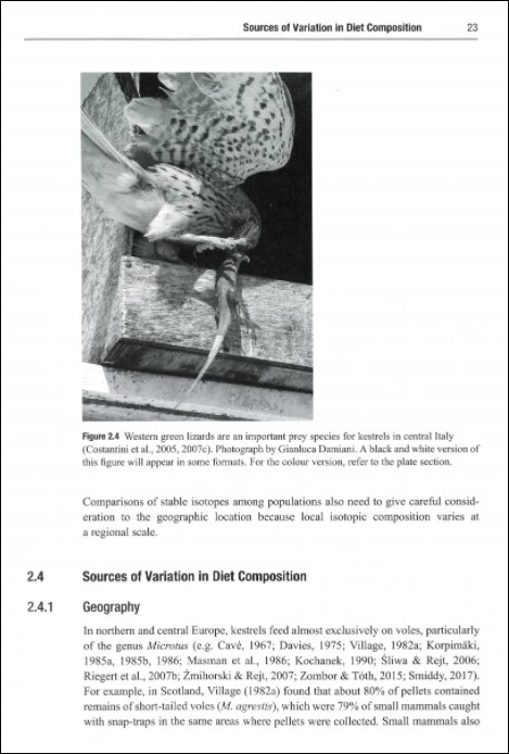 THE KESTREL. ECOLOGY, BEHAVIOUR AND CONSERVATION OF AN OPEN-LAND PREDATOR 2