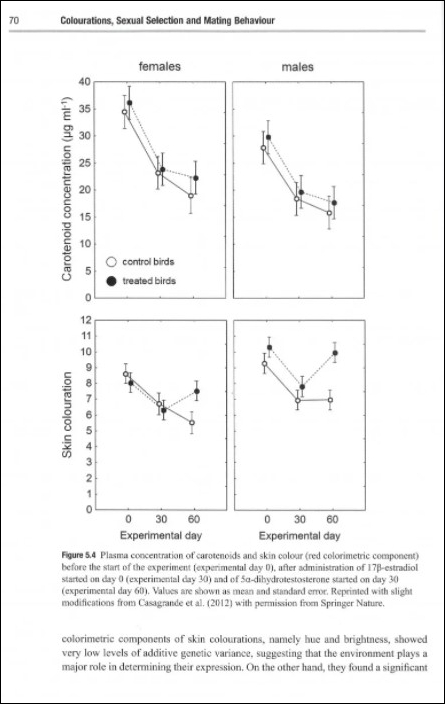 THE KESTREL. ECOLOGY, BEHAVIOUR AND CONSERVATION OF AN OPEN-LAND PREDATOR 3