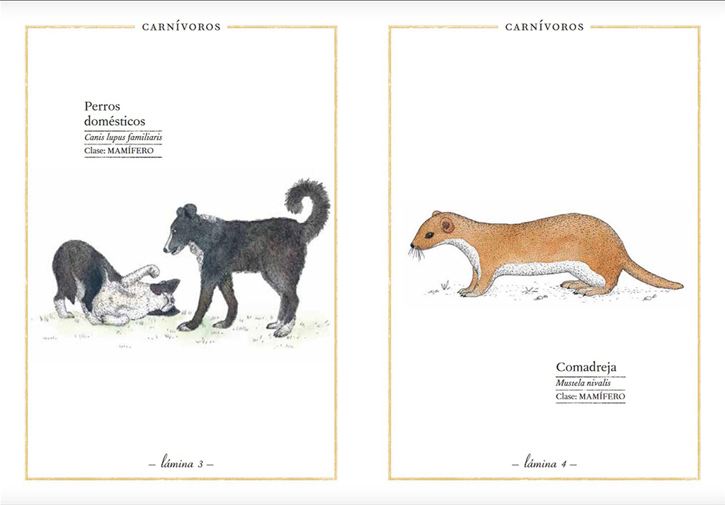 BELLEZAS DE LA NATURALEZA 2