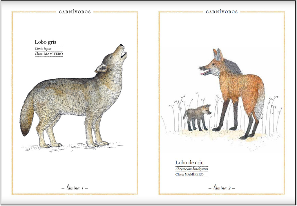 BELLEZAS DE LA NATURALEZA 3