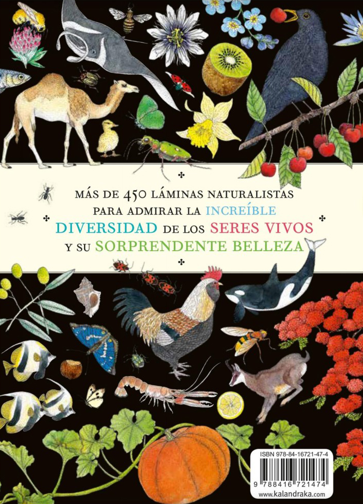 BELLEZAS DE LA NATURALEZA 4