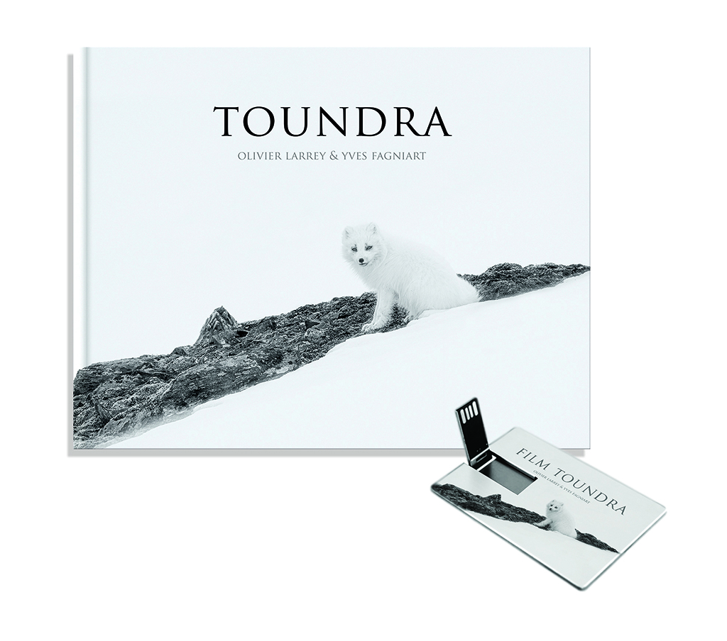 TOUNDRA