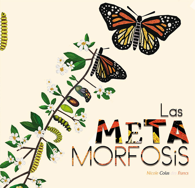 LAS METAMORFOSIS