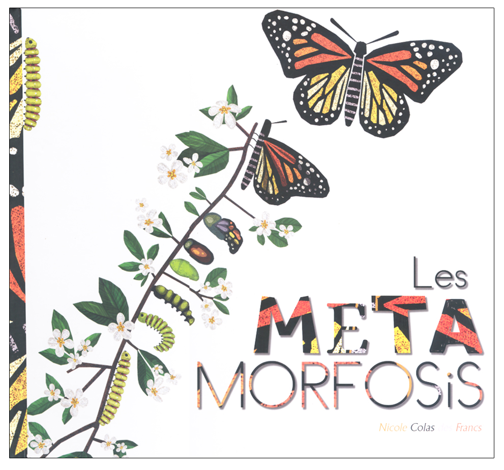 LES METAMORFOSIS
