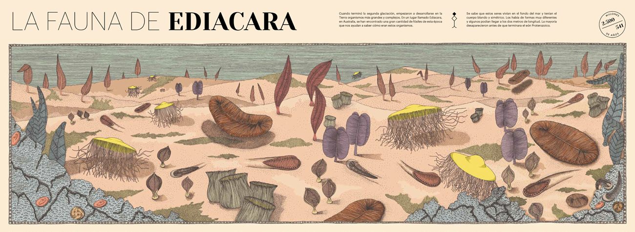 PAISATGES PERDUTS DE LA TERRA 3