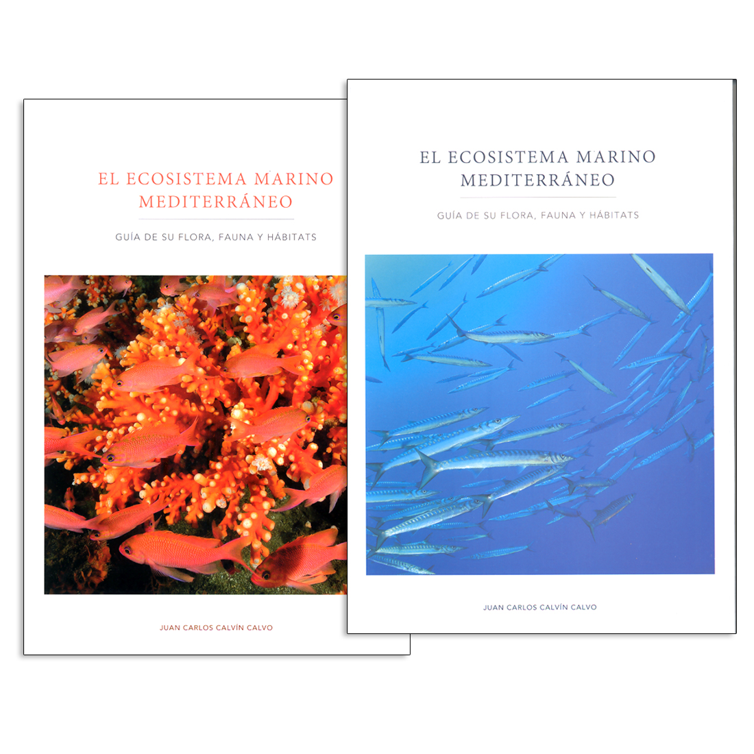 EL ECOSISTEMA MARINO MEDITERRÁNEO. GUÍA DE SU FLORA, FAUNA Y HÁBITATS 1