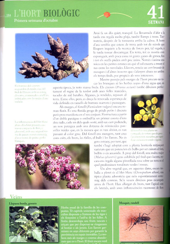 L'HORT BIOLÒGIC. COM CONSTRUIR I GAUDIR D'UN ECOSISTEMA PLE DE VIDA 4