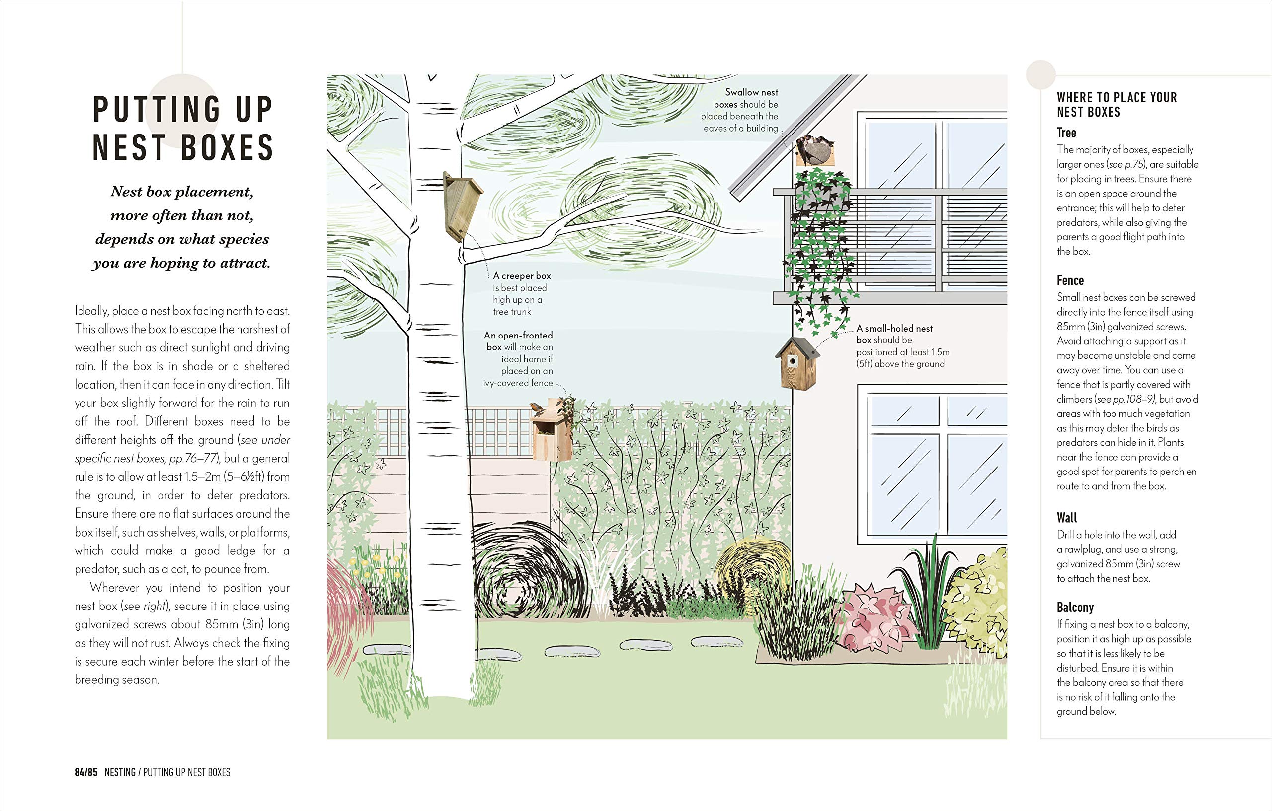 HOW TO ATTRACT BIRDS TO YOUR GARDEN: FOOD THEY LIKE, PLANTS THEY LOVE, SHELTER THEY NEED 3