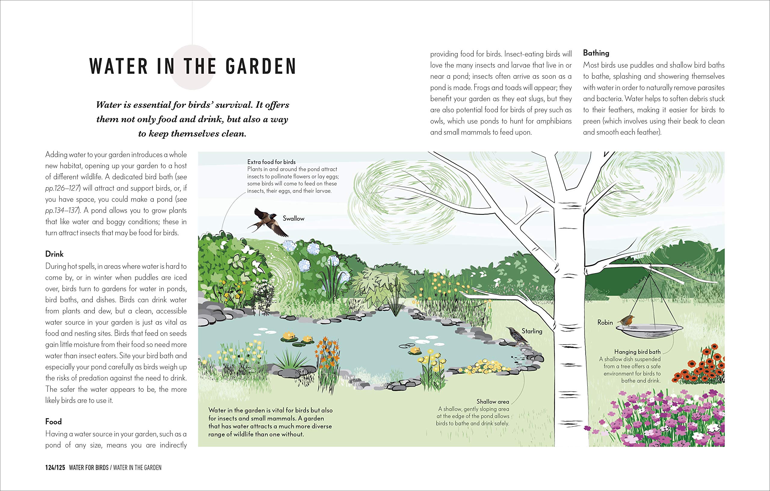 HOW TO ATTRACT BIRDS TO YOUR GARDEN: FOOD THEY LIKE, PLANTS THEY LOVE, SHELTER THEY NEED 6