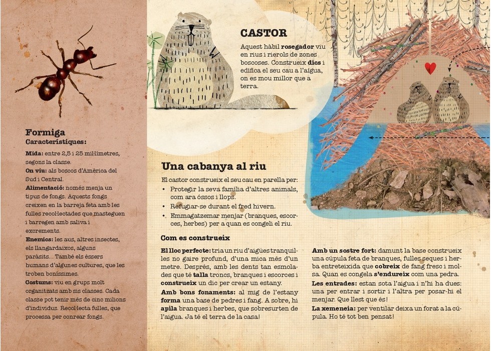 CASTOR CONSTRUCTOR I ALTRES ANIMALS ARQUITECTES 3