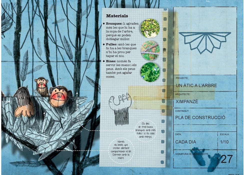 CASTOR CONSTRUCTOR I ALTRES ANIMALS ARQUITECTES 4