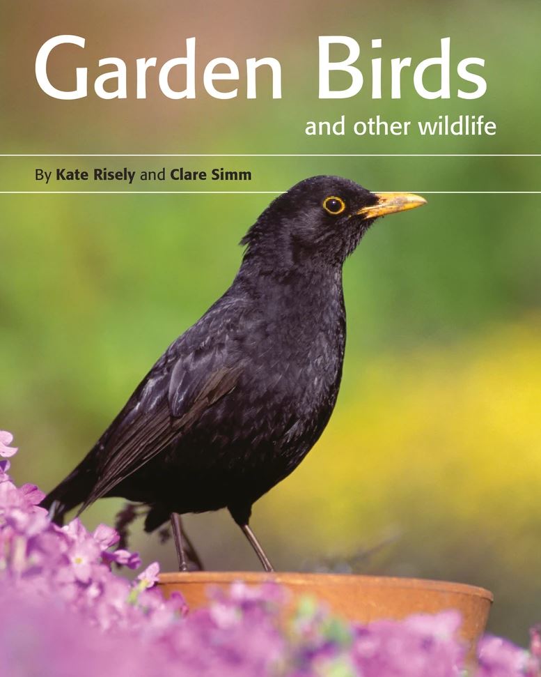 GARDEN BIRDS AND OTHER WILDLIFE 1
