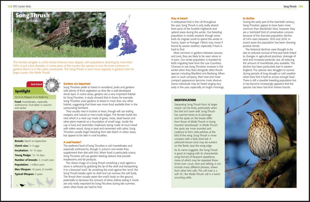 GARDEN BIRDS AND OTHER WILDLIFE 2