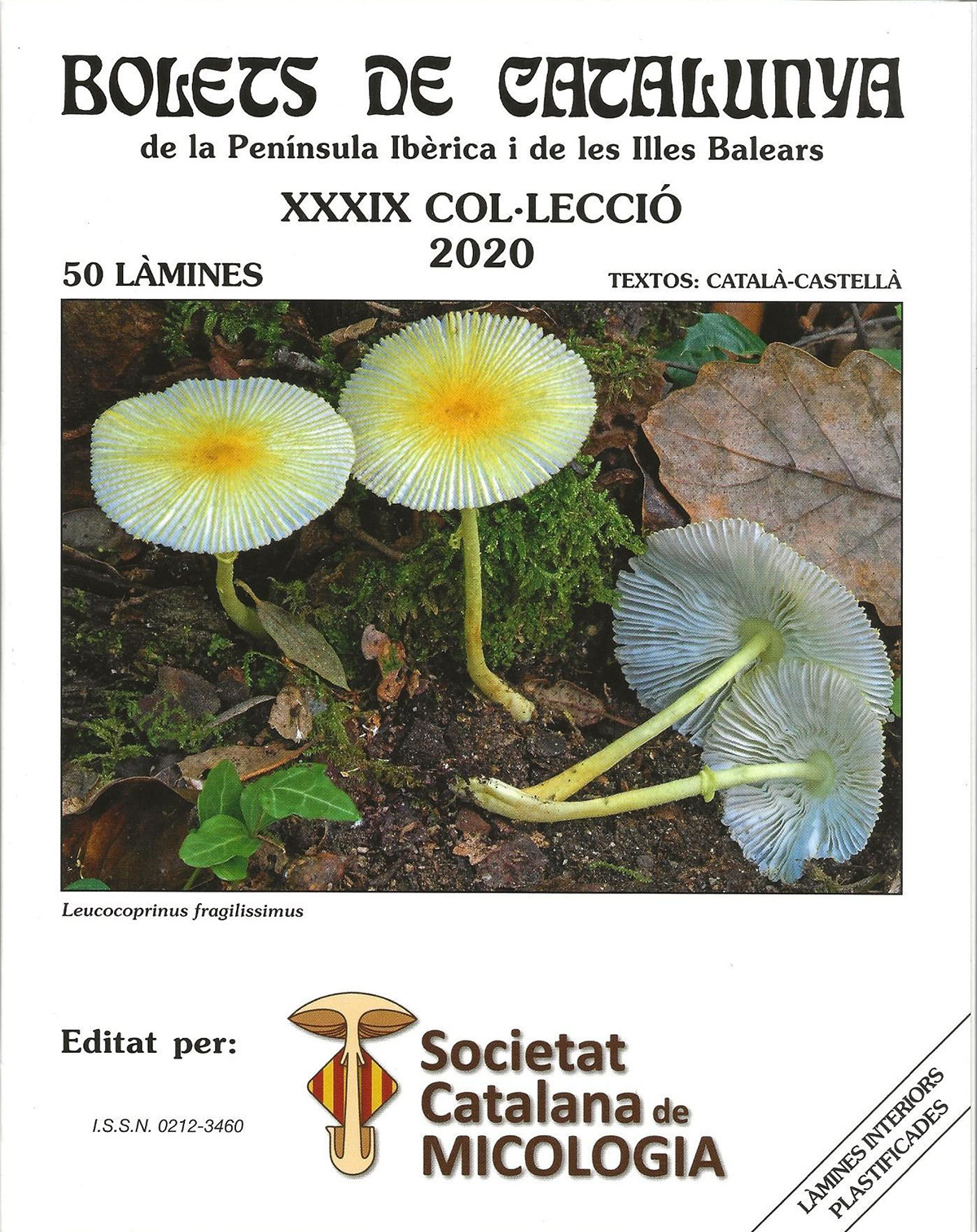 COL·LECCIÓ DE BOLETS DE CATALUNYA. VOLUM XXXIX 1