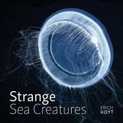 STRANGE SEA CREATURES 1