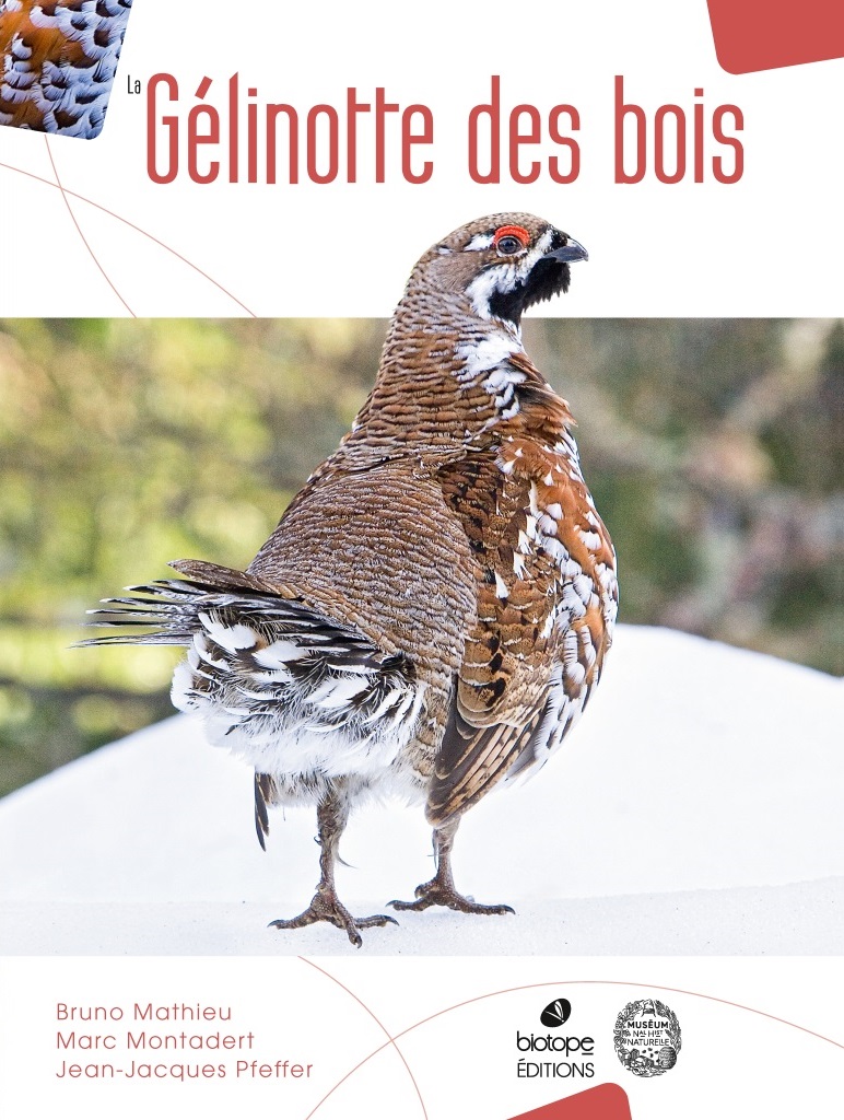 LA GÉLINOTTE DES BOIS 1