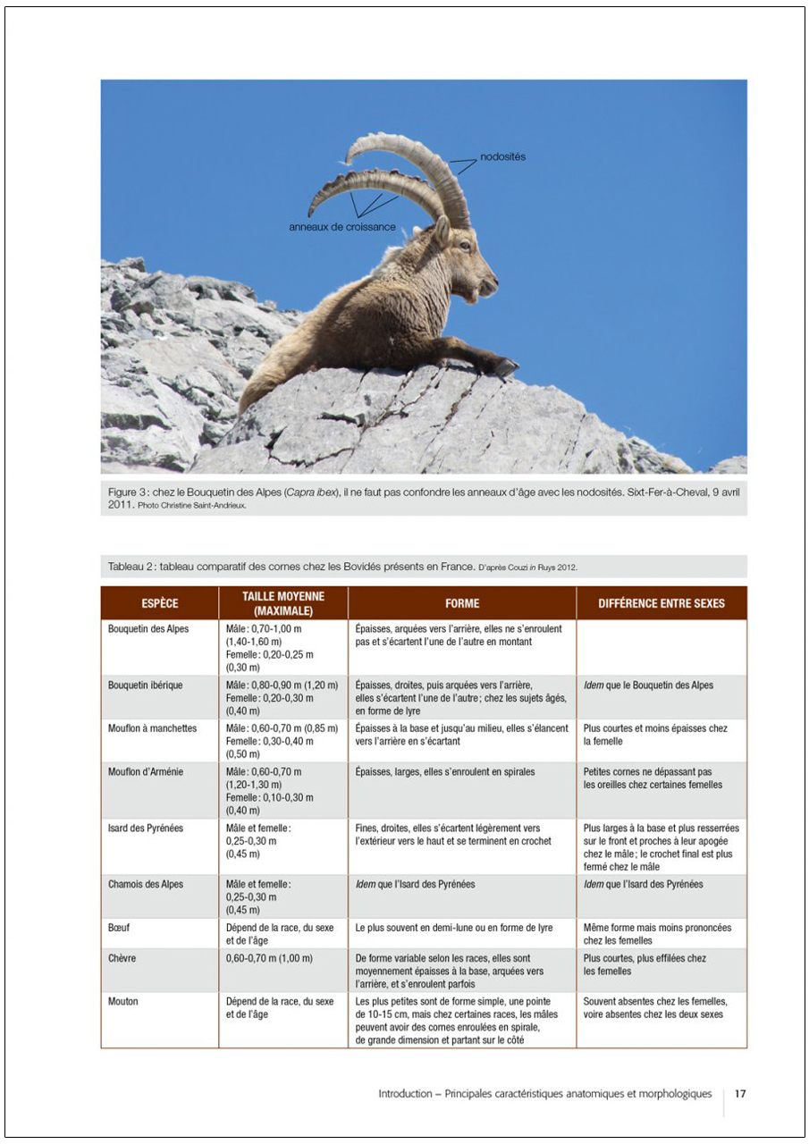 ATLAS DES MAMMIFÈRES SAUVAGES DE FRANCE. VOLUME 2: ONGULÉS ET LAGOMORPHES                                                                              3