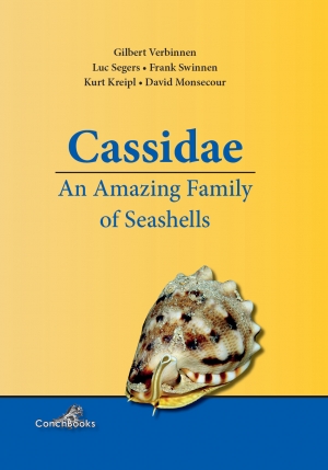 CASSIDAE. AN AMAZING FAMILY OF SEASHELLS