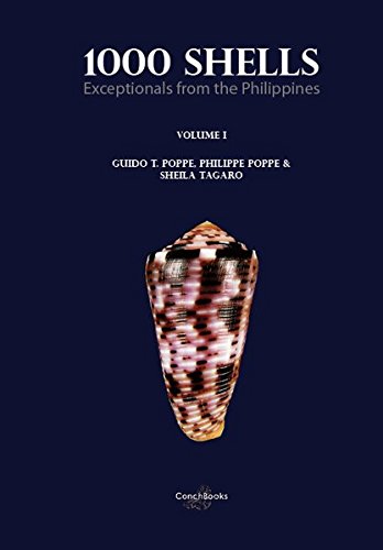 1000 SHELLS. EXCEPTIONALS FROM THE PHILIPPINES