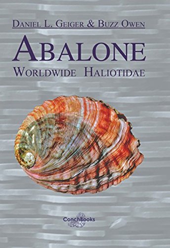 ABALONE. WORLDWIDE HALIOTIDAE 1