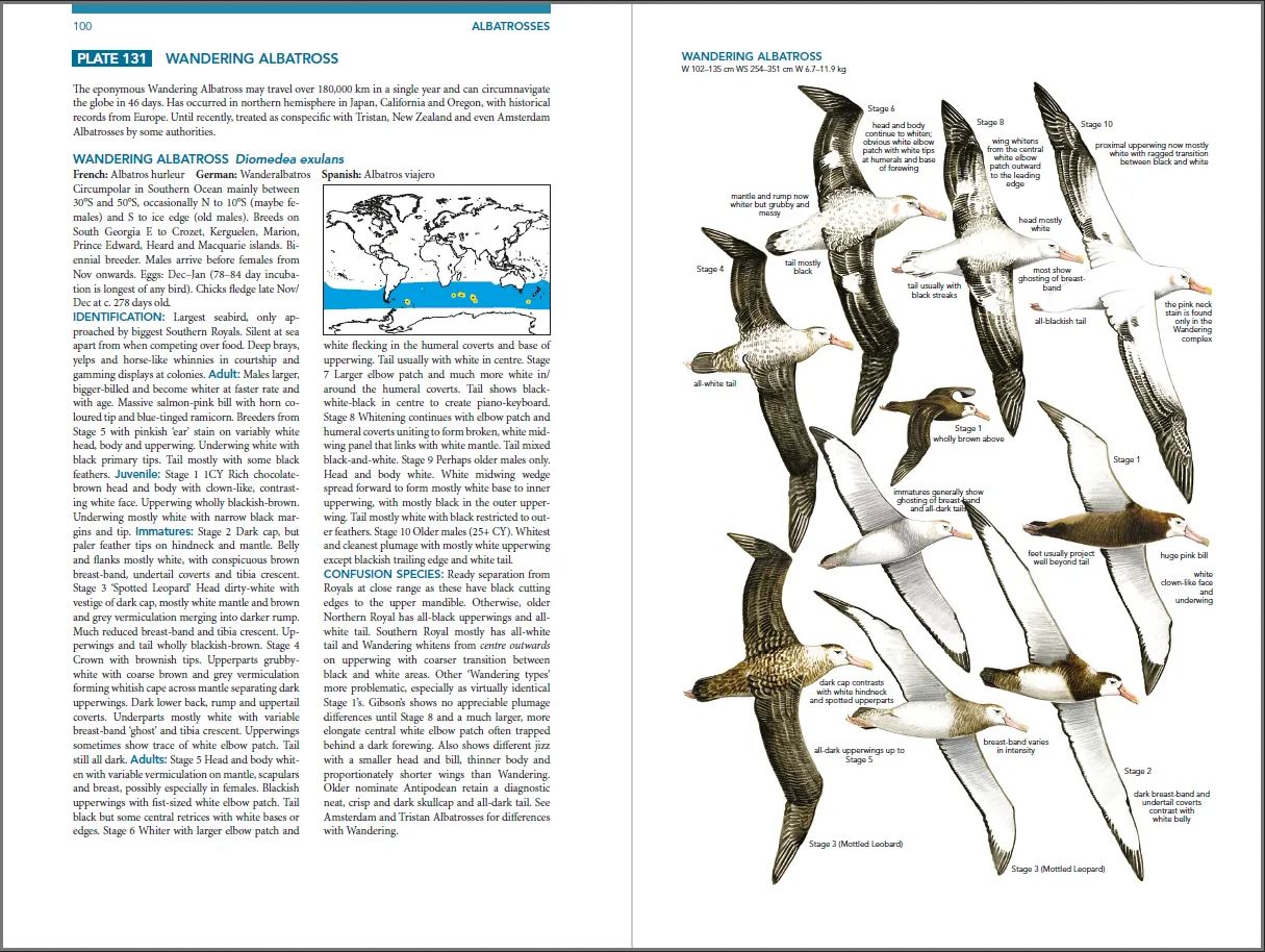 SEABIRDS. THE NEW IDENTIFICATION GUIDE 2