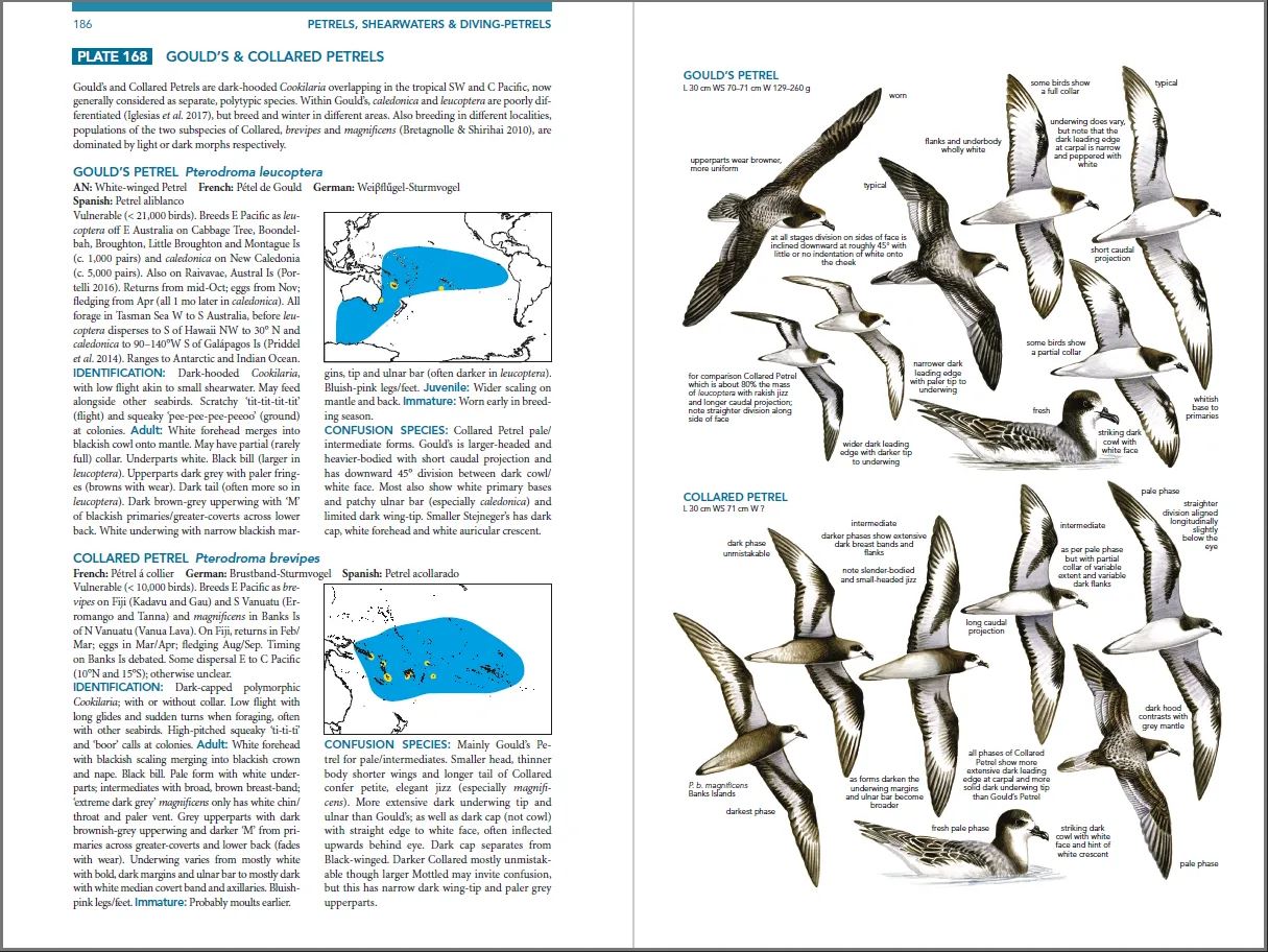 SEABIRDS. THE NEW IDENTIFICATION GUIDE 3