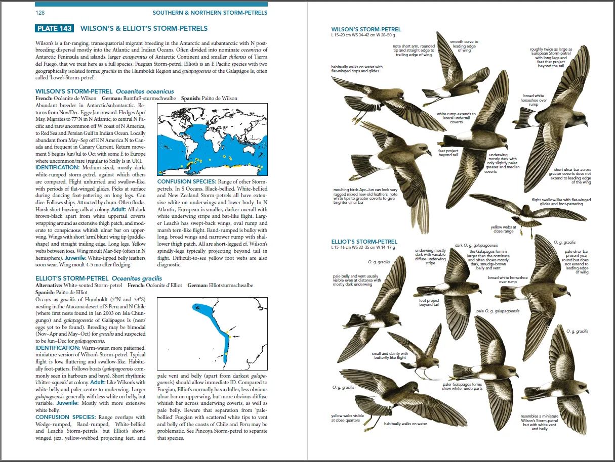 SEABIRDS. THE NEW IDENTIFICATION GUIDE 5
