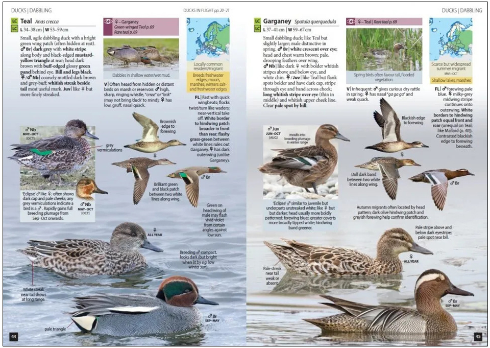 EUROPE'S BIRDS. AN IDENTIFICATION GUIDE 4