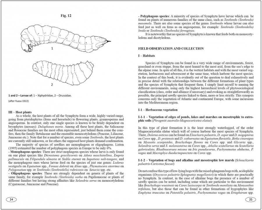 SAWFLIES OF EUROPE. HYMENOPTERA OF EUROPE 2 2