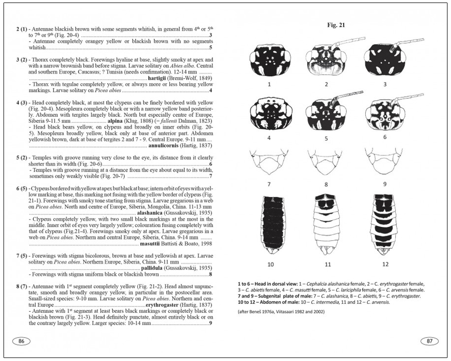 SAWFLIES OF EUROPE. HYMENOPTERA OF EUROPE 2 4